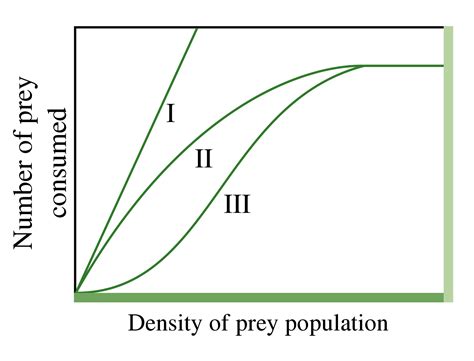 Sciencenotes Lotka Volterra Equation For Competition And Predation