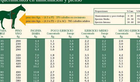 Pienso de engorde para caballos Qué debes saber Todo Engorda