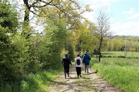 Randonn E Accompagn E Randonn E P Destre En Aveyron