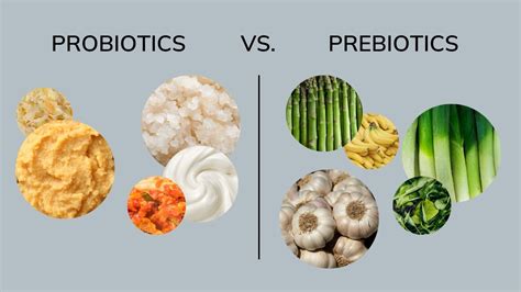 Probiotics Vs Prebiotics 8 Key Insights To Revolutionise Your Gut Health