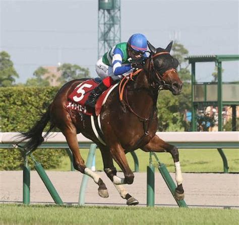 メイケイエールはヴィクトリアマイルへ 武英師「左回りを使っていきたいので」 競馬ニュース Netkeiba