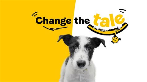 Flos Story Change The Tale Dogs Trust Youtube