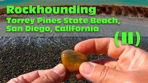 Rockhounding At Torrey Pines State Beach San Diego California Ii Youtube