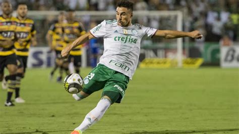 Novorizontino X Palmeiras Ao Vivo Saiba Como Assistir Na Tv E Online