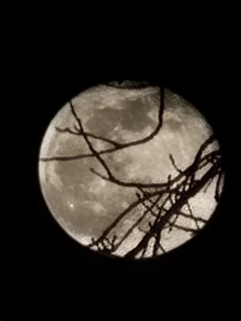 my spooky full moon pic : r/halloween