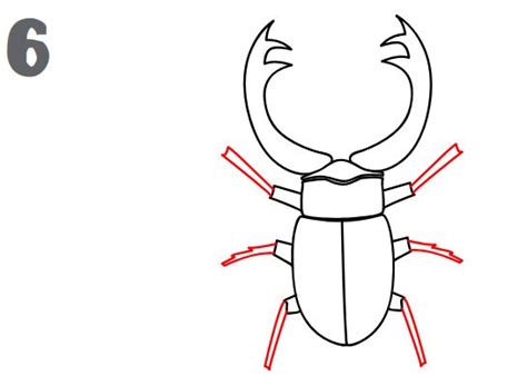 How To Draw A Stag Beetle Easy Drawing Tutorial