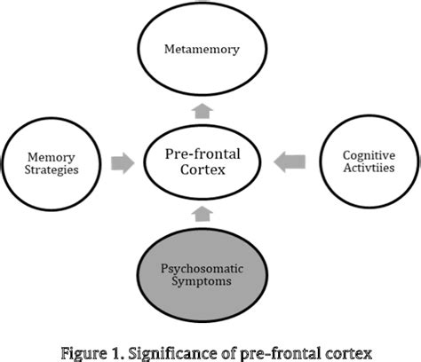 Figure From A Study On Improving Metamemorsy Through Cognitive