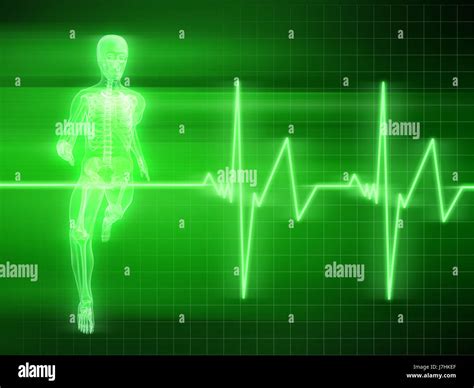 Science Human Body Pulse