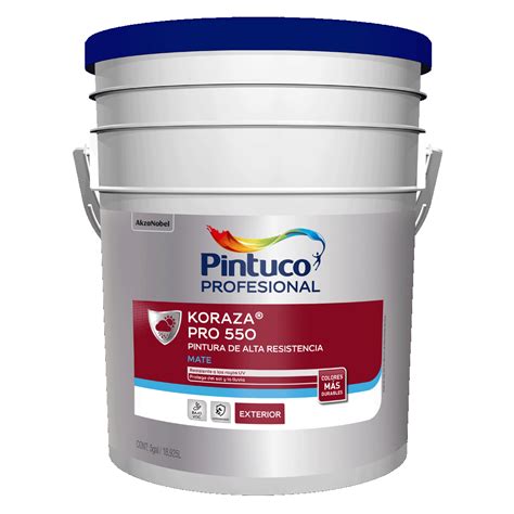 Pintura Koraza Pro Pintuco