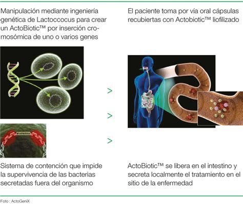 Importancia De Las Bacterias En La Industria At Tristan Gordon Blog