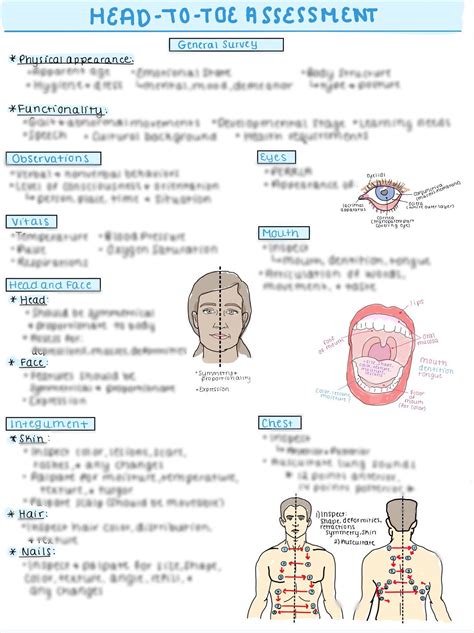 Head To Toe Assessment Study Guide Study Guide Health Assessment