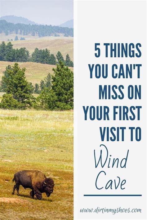 Things You Can T Miss On Your First Visit To Wind Cave Wind Cave