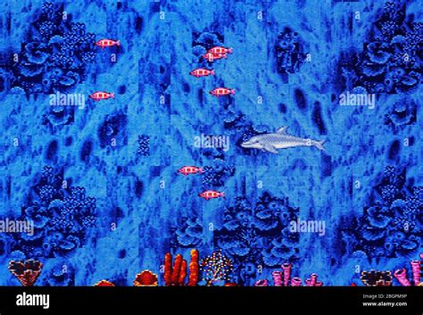 Ecco The Dolphin - Sega Genesis Mega Drive - Editorial use only Stock ...