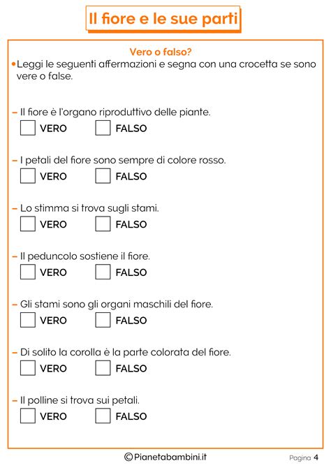 Tante Schede Didattiche Sul Fiore E Le Sue Parti Per Bambini Della