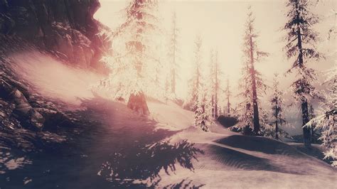 Pine Trees Video Games The Elder Scrolls V Skyrim Hd Wallpaper