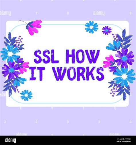 Affiche Affichant Le Fonctionnement De SSL Concept Signification La