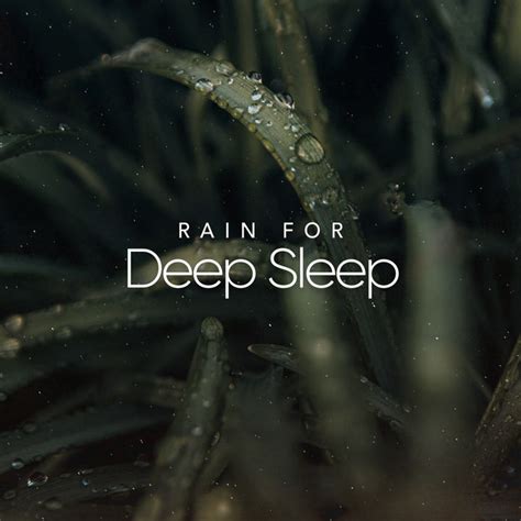 Rain For Deep Sleep Album By Rain For Deep Sleep Spotify