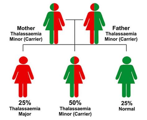 Thalassaemia Kitcc