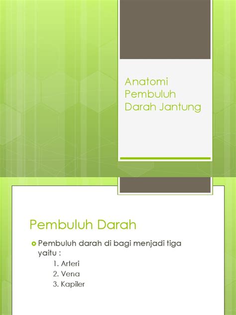 PDF Anatomi Pembuluh Darah Jantung DOKUMEN TIPS