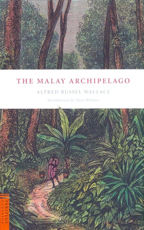 The Malay Archipelago Nhbs Academic And Professional Books