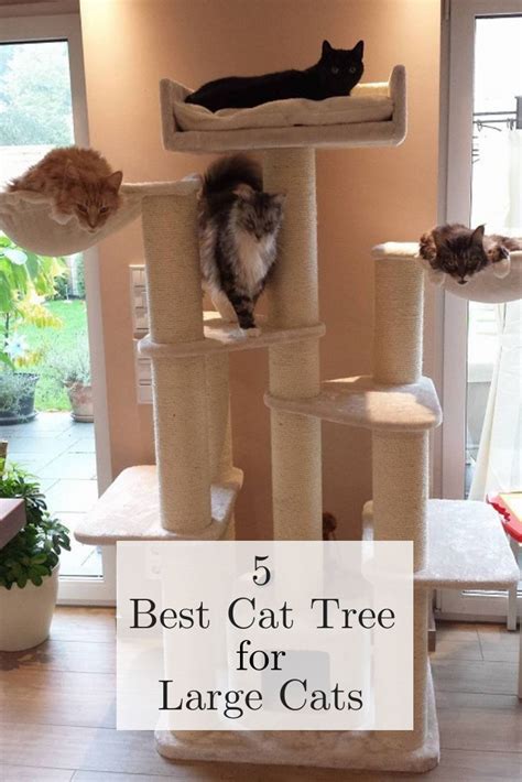 5 Best Cat Tree For Large Cats Cool Cat Trees Diy Cat Tree Large