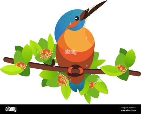 Bird Kingfisher On A Branch Vector Illustration Stock Vector Image