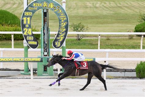 【園田競馬 11r 兵庫ジュニアグランプリ予想】しぶとさ、根性一級品のサトノフェニックス スポーツナビ