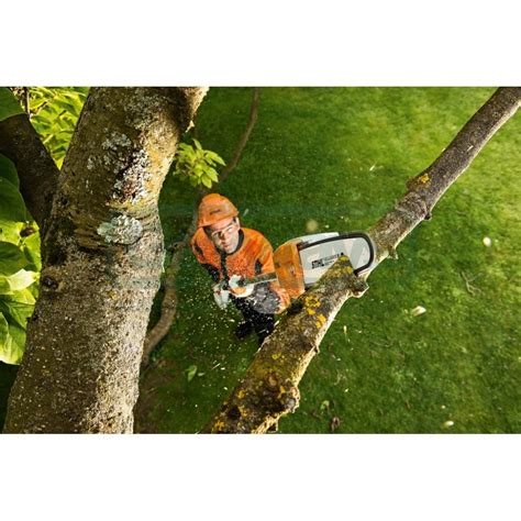 STIHL HTA 66 Cordless Pole Pruner Precision Tree Care Gayways Ltd