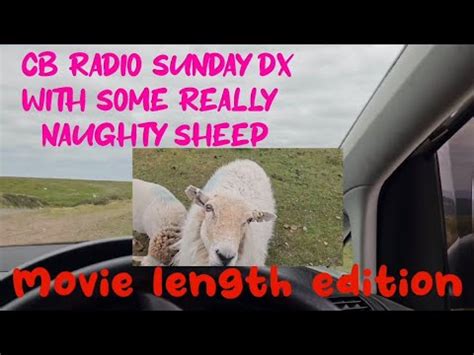 Cb Radio Sunday Dx With Naughty Sheep The Movie Youtube