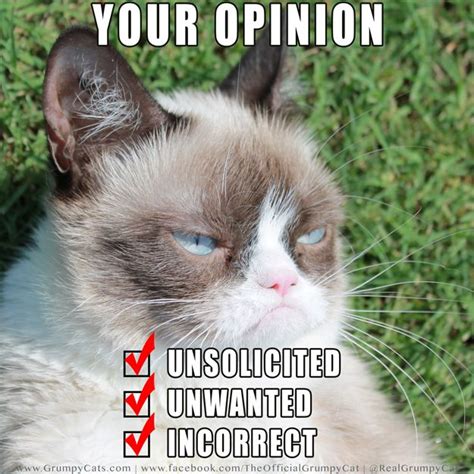 The Daily Grump September 13 2013 Grumpy Cat™ The Worlds Grumpiest Cat Cats Grumpy