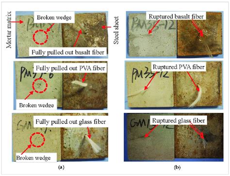 Typical Failure Modes Of Pull Out Specimens A Fiber Fully Pulled Out