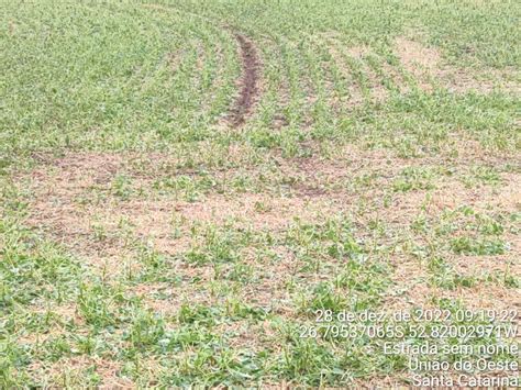 ATENÇÃO Município do Oeste de SC decreta situação de emergência em