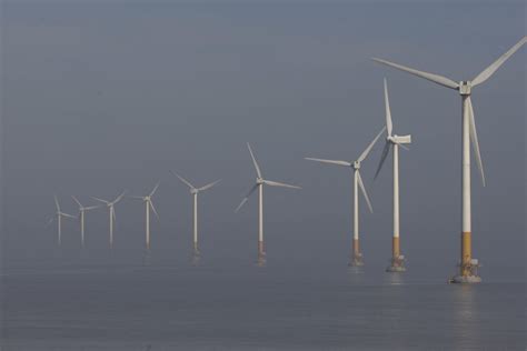 China Explores Use Of Foreign Expertise To Speed Up Deep Sea Wind Power