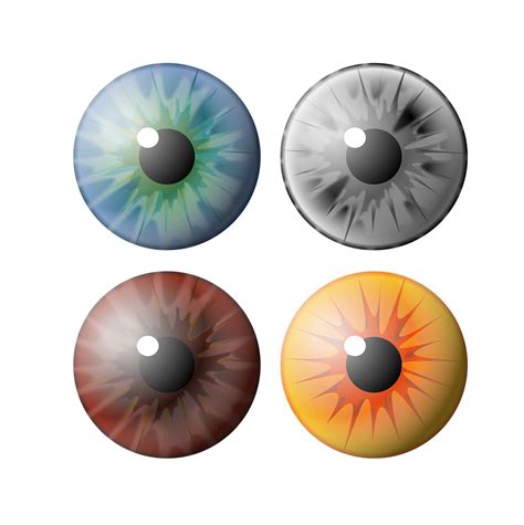 Eye, pupil, iris, see, vision - free image from needpix.com