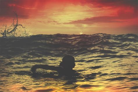 Free Picture Boy Swimming Silhouette Sea Dusk Sunset Sun Water