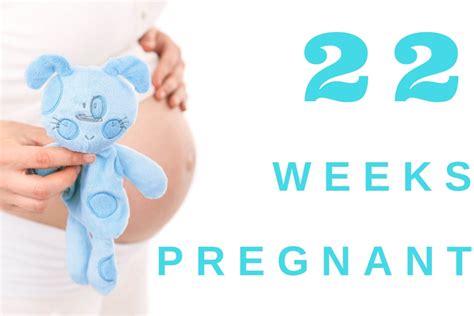 22 Weeks Pregnant Tips For A Healthy And Happy Pregnancy Babies Carrier