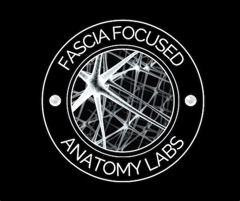 Fascia Focussed Dissection Lab Courses - Fascia Focused Anatomy Labs