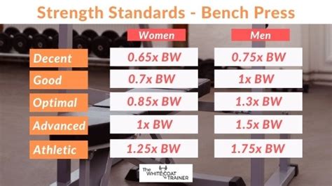 How Strong Are You Realistic Strength Standards For Busy People