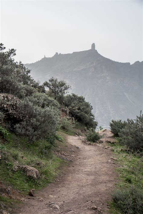 Camino Al Roque Nublo El Monumento Natural Del Roque Nublo Flickr