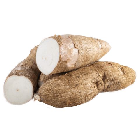 Yuca Gruesa Vivecol Del Campo A Su Mesa