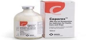 Ceporex 500mg Vial - Rosheta