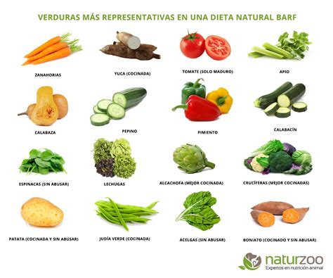 Carteles Informativos Sobre Alimentos Adecuados En Una Dieta Natural