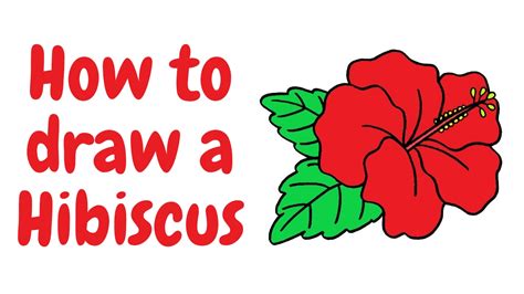 How To Draw A Hibiscus Flower Step By Step Guide Hand Of Art