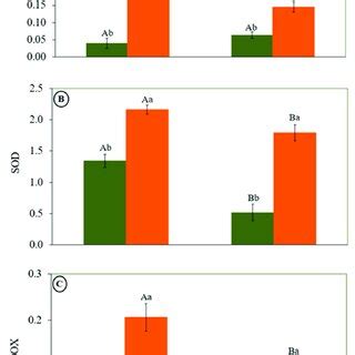 Specific Activity Of Antioxidant Enzymes A Catalase Cat Mol Min