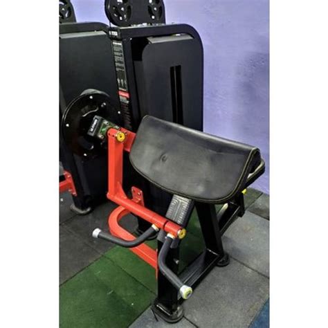 US Fitness Mild Steel Biceps Curl Machine For Gym At Rs 48500 In Ahmedabad