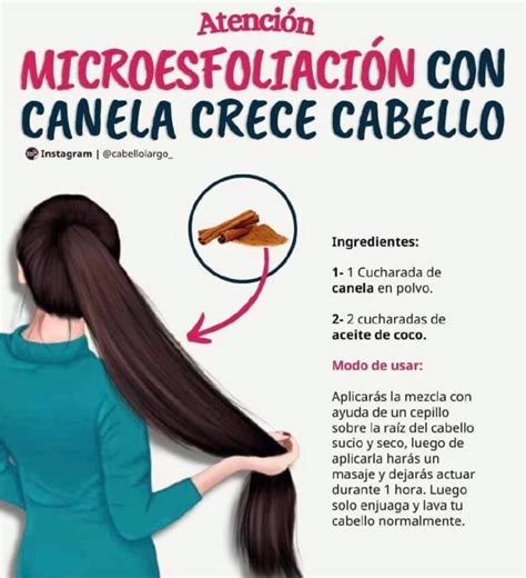 Tratamientos Para Cabello Caseros Hidratado Brilloso Y Saludable