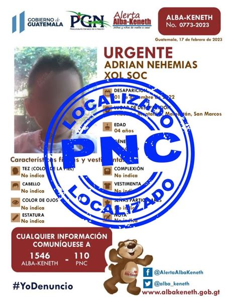 Navegación de entradas