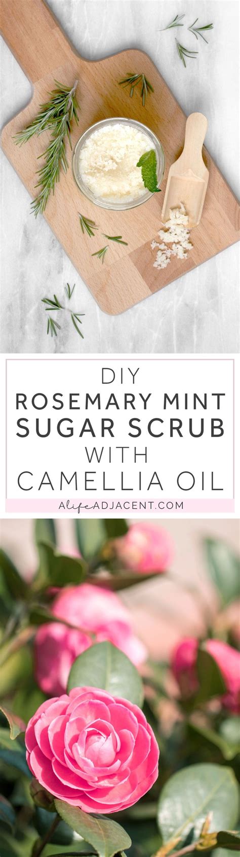 Diy Rosemary Mint Sugar Scrub With Camellia Oil Mint Sugar Scrub