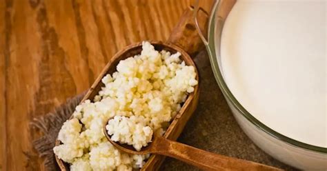 Los BENEFICIOS DEL KEFIR cuáles son los nutrientes que aporta al