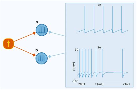 A Leaky Integrate And Fire Neuron The Membrane Potential Of A Leaky